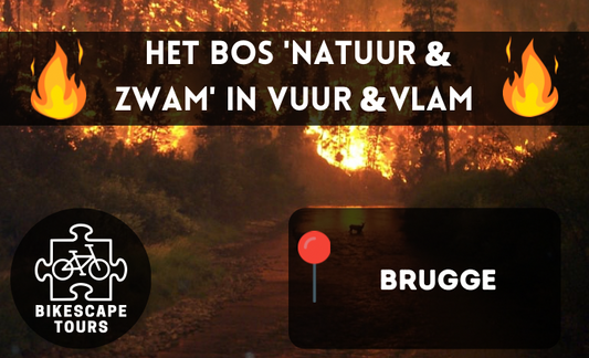 Het Bos Natuur & Zwam in Vuur & Vlam - Brugge