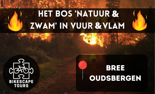 Het Bos Natuur & Zwam in Vuur & Vlam - Bree/Oudsbergen