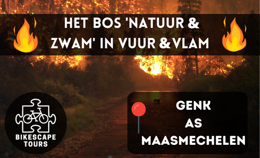 Het Bos Natuur & Zwam in Vuur & Vlam - Genk/As/Maasmechelen